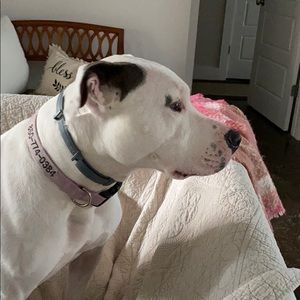 Meet your Posher, Lynn